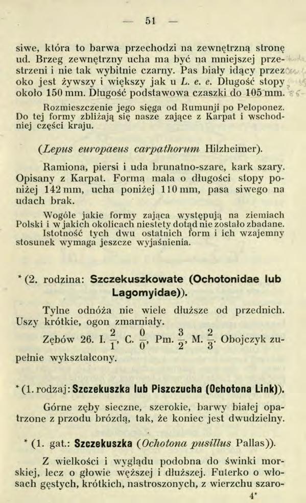 51 siwe, która to barwa przechodzi na zewnętrzną stronę ud. Brzeg zewnętrzny ucha ma być na mniejszej przestrzeni i nie tak wybitnie czarny. Pas biały idący przez oko jest żywszy i większy jak u L. e.