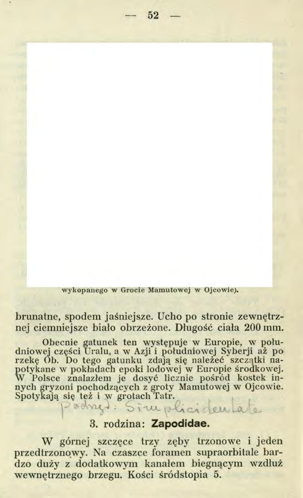 52 п ш ж а Rye. 8. Uzębienie (zęby trzonowe) Szczekuszki (Ochotona pusillus Pallas). «G» szczęki górnej. «D» dolnej, strony prawej. (Z okazu wykopanego w Grocie Mamutowej w Ojcowie).
