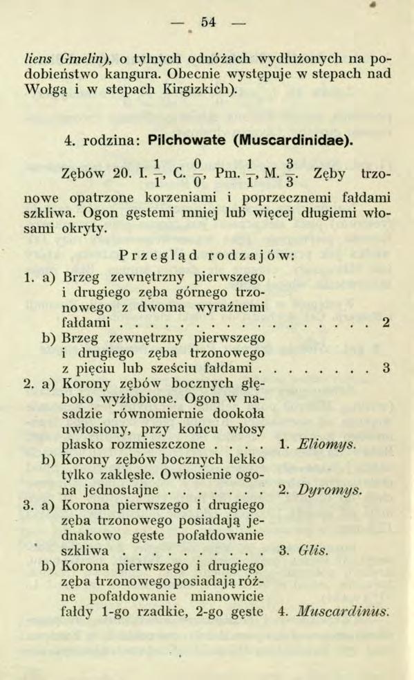 liens Gmelin), o tylnych odnóżach wydłużonych na podobieństwo kangura. Obecnie występuje w stepach nad Wołgą i w stepach Kirgizkich). 4. rodzina: Pilchowate (Muscardinidae). 1 0 Zębów 20. I., C. Pm.