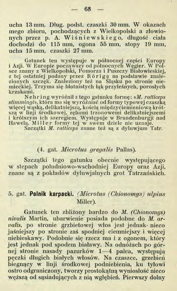 68 ucha 13mm. Dług. podst. czaszki 30 mm. W okazach mego zbioru, pochodzących z Wielkopolski a złowionych przez p. A.
