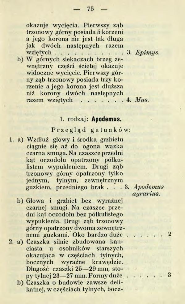 75 1. a) Wzdłuż głowy i środka grzbietu ciągnie się aż do ogona wązka czarna smuga. Na czaszce przedni kąt oczodołu opatrzony półkulistem wypukleniem.