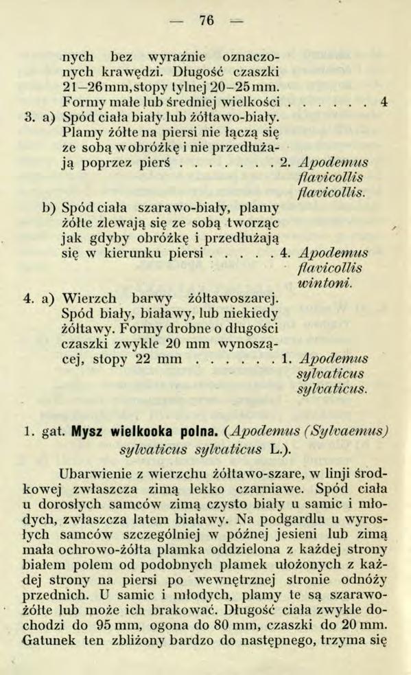 76 nych bez wyraźnie oznaczonych krawędzi. Długość czaszki 21 26mm,stopy tylnej 20-25mm. Formy małe lub średniej wielkości... 4 3. a) Spód ciała biały lub żółtawo-biały.