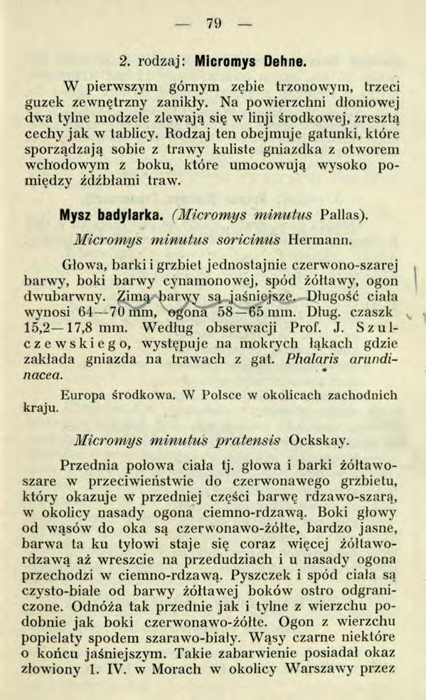 79 2. rodzaj: Micromys Dehne. W pierwszym górnym zębie trzonowym, trzeci guzek zewnętrzny zanikły.