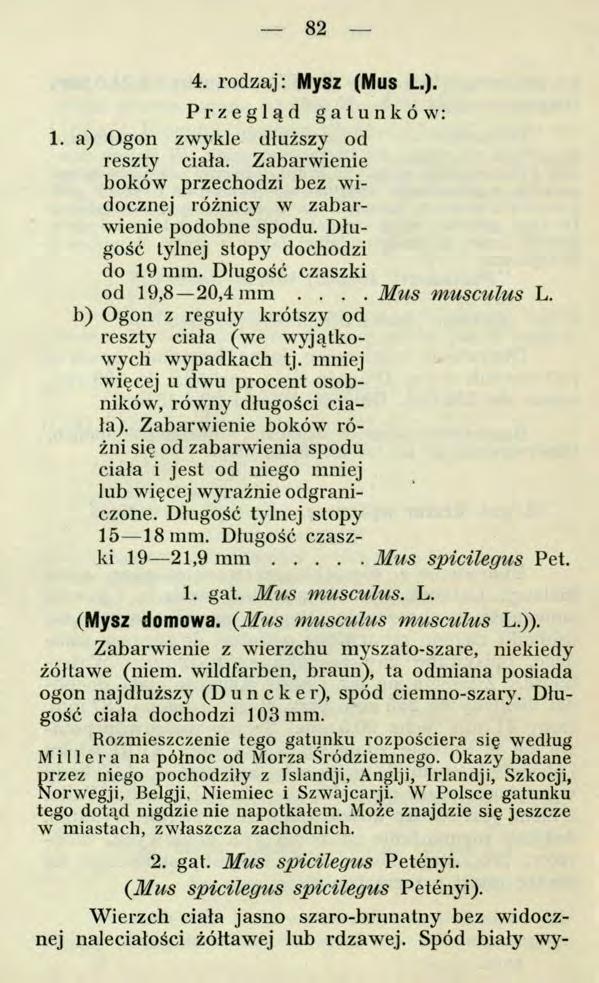 82 2. gat. M us spicilegus Petényi. {M us spicilegus spicilegus Petényi). Wierzch ciała jasno szaro-brunatny bez widocznej naleciałości żółtawej lub rdzawej. Spód biały wy 4. rodzaj: Mysz (Mus L.). Przegląd gatunków: 1.
