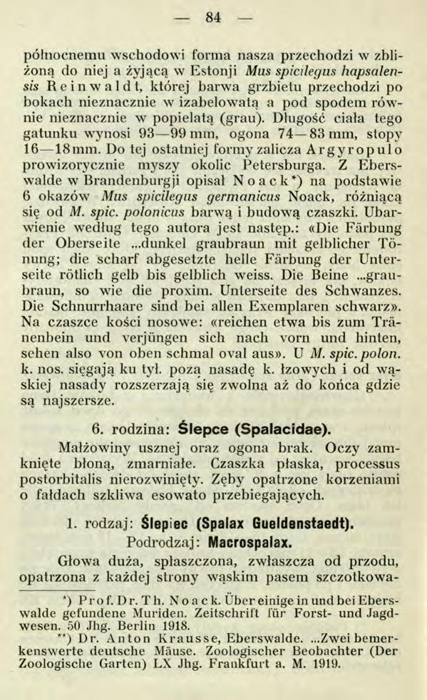 84 północnemu wschodowi forma nasza przechodzi w zbliżoną do niej a żyjącą w Estonji Mus spicilegus hapsalensis R e i n w a 1d t, której barwa grzbietu przechodzi po bokach nieznacznie w izabelowatą