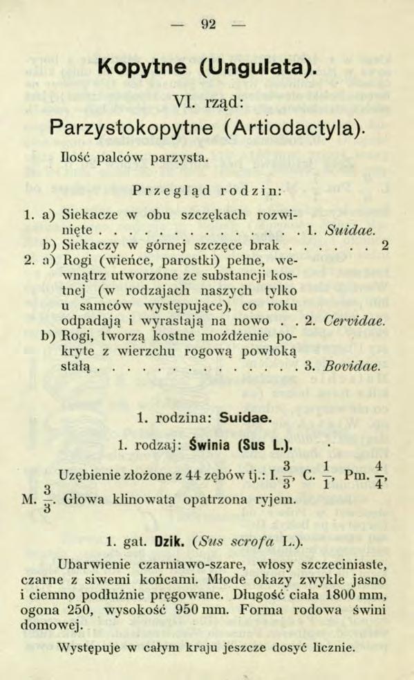 92 Kopytne (Ungulata). VI. rząd: Parzystokopytne (Artiodactyla). Ilość palców parzysta. Przegląd rodzin: 1. a) Siekacze w obu szczękach rozwinięte... 1. Suidae. b) Siekaczy w górnej szczęce b r a k.