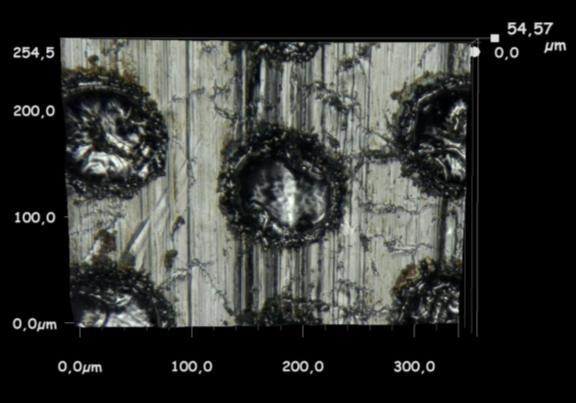 Charakterystyczne układy geometryczne mikrozasobników olejowych w kształcie czasz