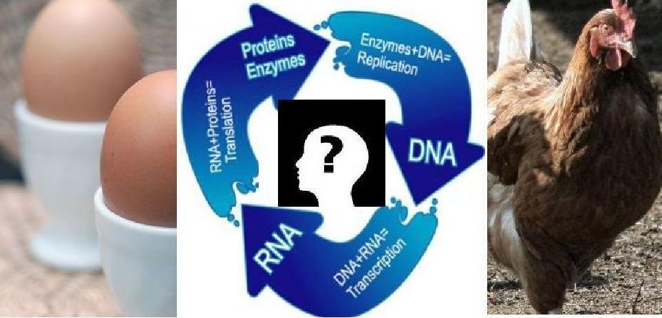 Wypisz wymaluj dylemat w rodzaju, jak przy rozpatrywaniu co było pierwsze: DNA, RNA czy białka.