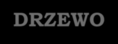 DRZEWO Drzewo to spójna struktura nieliniowa składająca się z węzłów (wierzchołków) i krawędzi, w której istnieje dokładnie jedna ścieżka pomiędzy parą dowolnych dwóch węzłów.