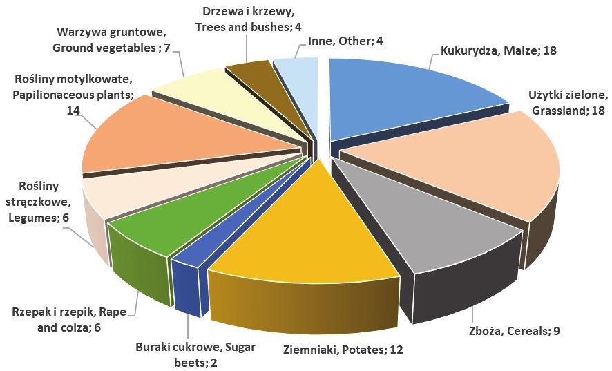 Andrzej Borusiewicz, Paulina Drożyner-Starowicz Tabela 1. Metryczka grupy respondentów Table 1.