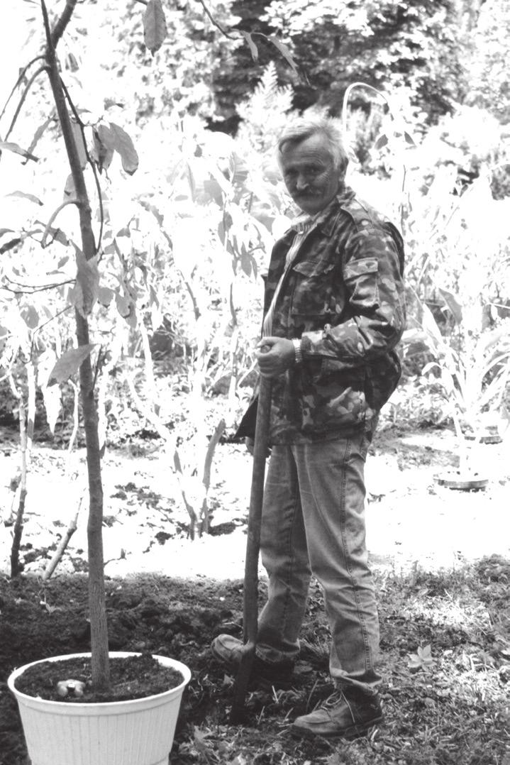 L. Betleja, R. Kościelniak Profesor Józef Kiszka... 17 Fot. 3. Sadzenie drzew w Arboretum (2000 r.; fot. z archiwum J.