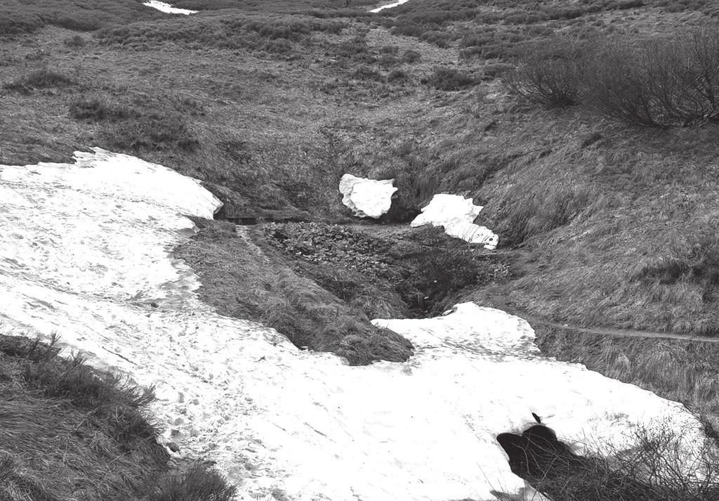 The location of the Goprowska Pass spring. Ryc. 2.