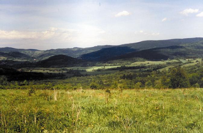 dostępnych do zasiedlania biotopów. Te właśnie, rozproszone i o niewielkich powierzchniach siedliska, należą do najbardziej zagrożonych.