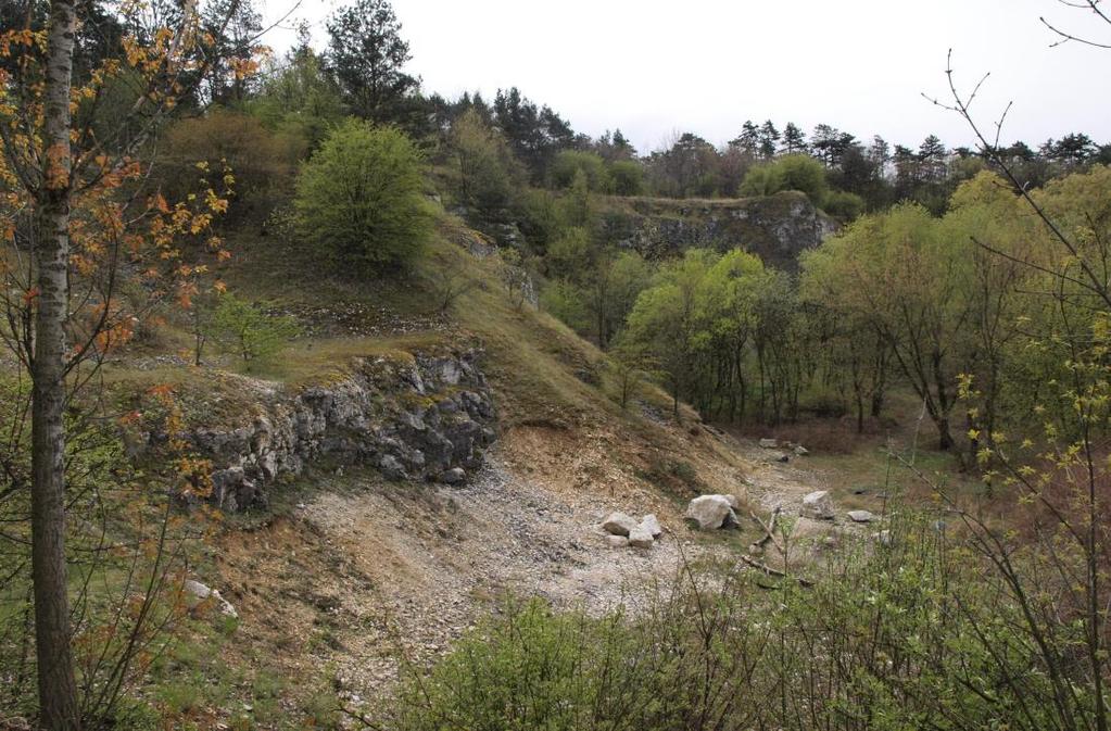 Zagrożenia dla elementów środowiska abiotycznego i flory: Degradacja form skałkowych i odsłonięć skalnych.