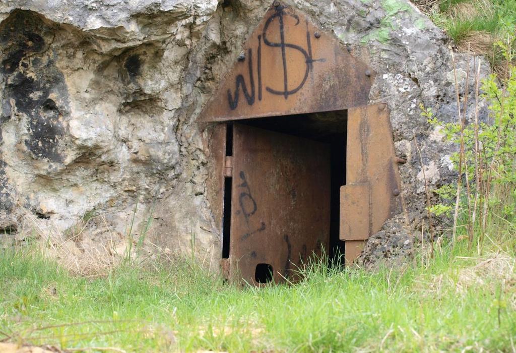 (Zakrzówek, dawny kamieniołom w Kryspinowie, odsłonięcia i wychodnie skał w Piekarach (stanowisko dokumentacyjne), Kraków Bielany, Kraków