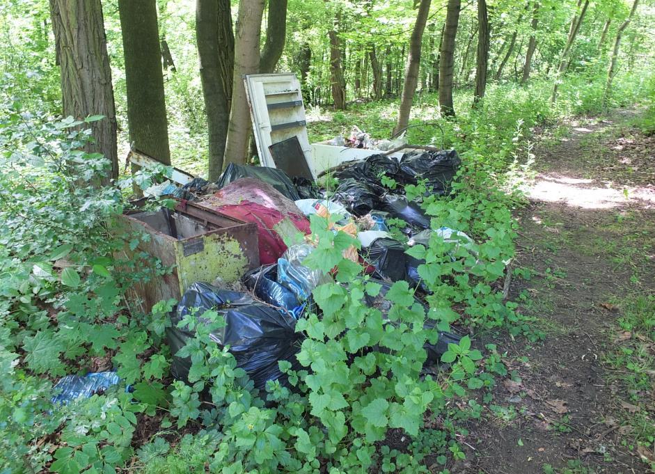 Dzikie wysypisko śmieci, przy forcie Bodzów