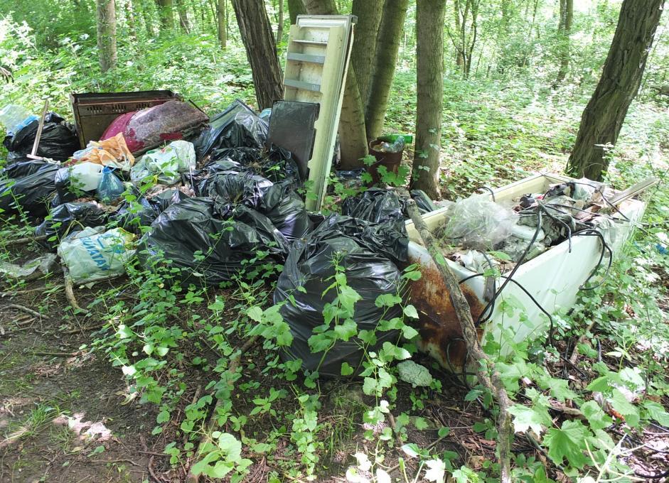 dla elementów środowiska abiotycznego,