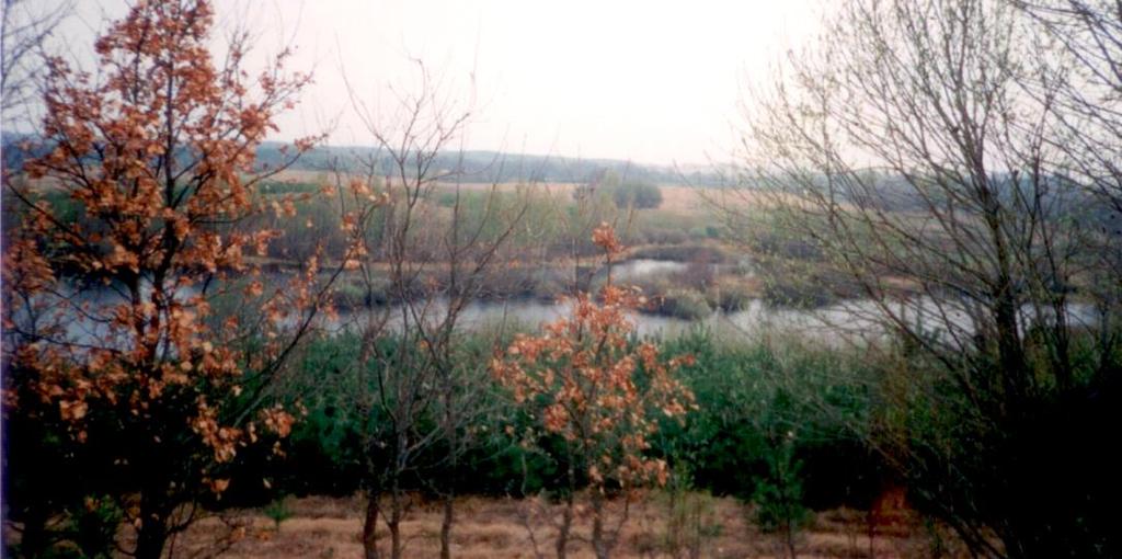 Jezioro Radomyskie