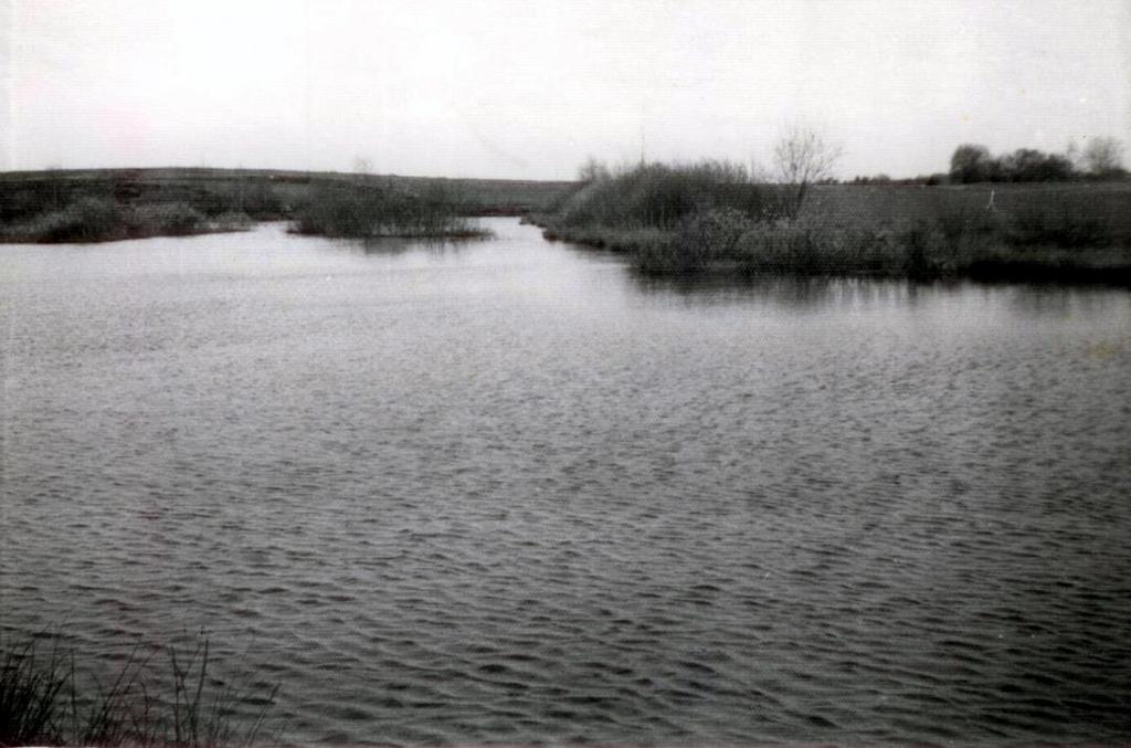 marzec 1984