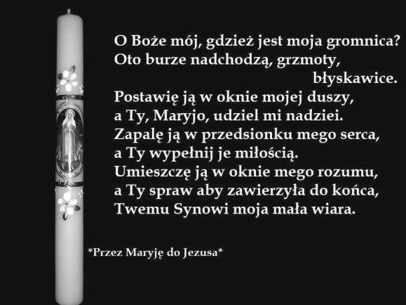 Zebrane pieniądze wspierają ludzi potrzebujących oraz wiele organizacji charytatywnych i dobrocznynnych.