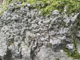 Ryc. 51. Bazalt kokkolitowy na wzgórzu Kolec Z działalnością wulkaniczną związana jest możliwość występowania wód termalnych.