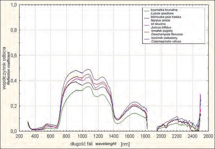 Hiperspektralna metoda badania i kartowania roślinności wysokogórskiej 89 Ryc. 8: Wykres współczynnika odbicia promieniowania obliczonego jako mediana dla 5 badanych gatunków Fig.