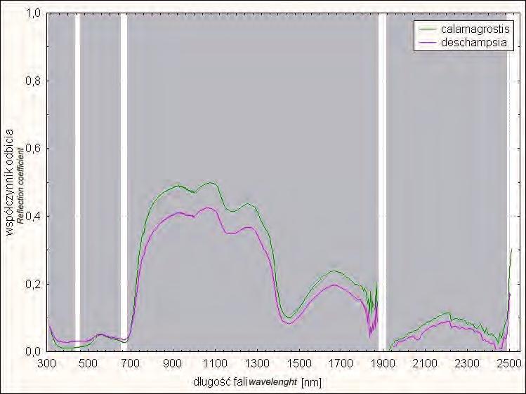 90 Ryc. 9: Wykres statystycznej istotności różnic w odbiciu spektralnym dla pary gatunków trzcinnik-śmiałek, na poziomie istotności p<0.05 Fig.