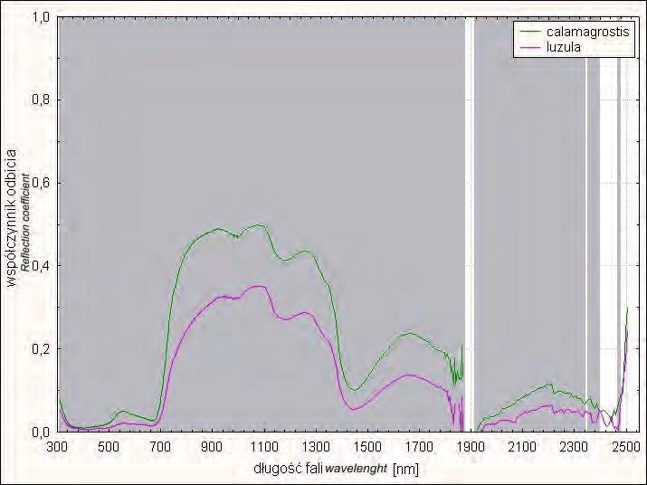 11: Wykres statystycznej istotności różnic w odbiciu spektralnym dla pary gatunków trzcinnik-sit, na poziomie istotności p<0.05 Fig.