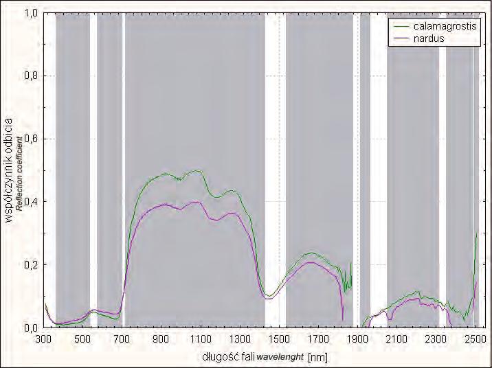 12: Wykres statystycznej istotności różnic w odbiciu spektralnym dla pary gatunków trzcinnik-bliźniczka, na poziomie istotności p<0.05 Fig.