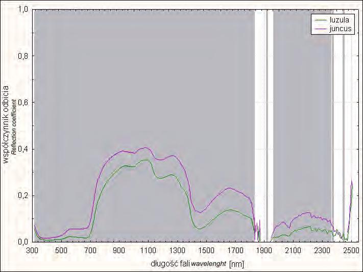 14: Statistical significance of reflectance differences for Deschampsia-Juncus species, with significance level of p<0.05 Ryc.