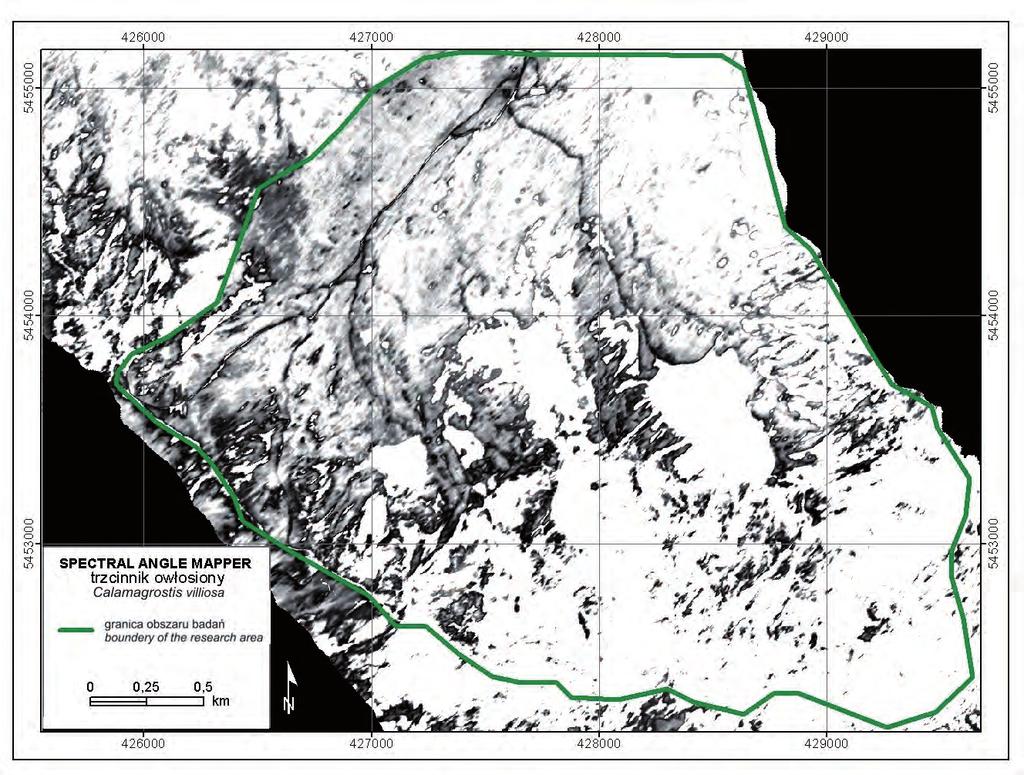 20: Spectral Angle Mapper classification result for Luzula spadicea (darker areas indicate smaller spectral angle) Ryc.