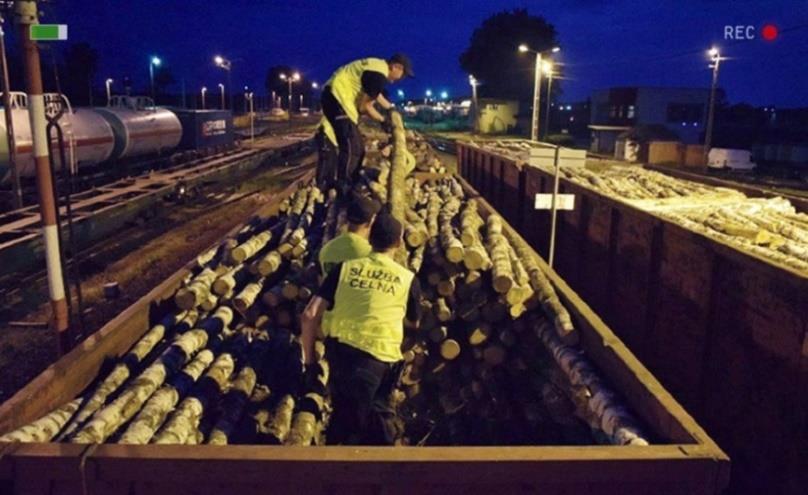 Zwalczanie przestępczości wybrane ujawnienia i wykryte nieprawidłowości