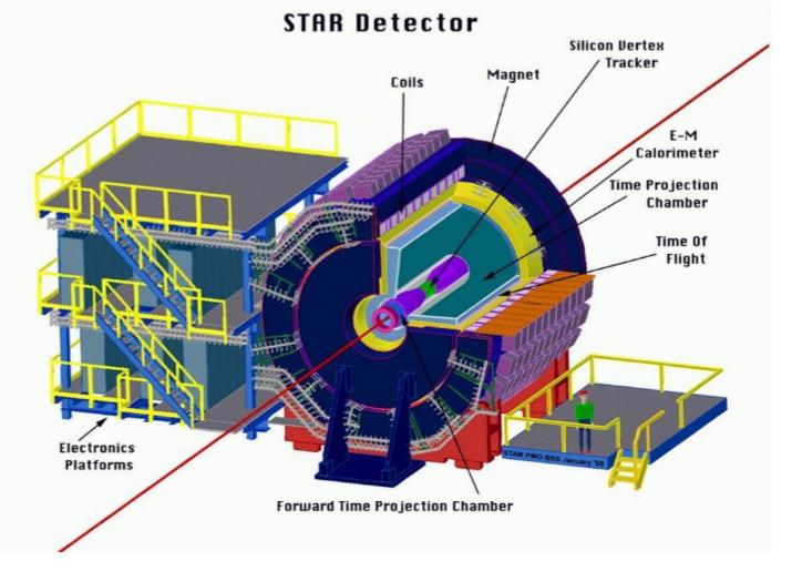 Rys. 2.2: Detektor STAR [11].