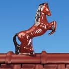 czerwony Koń: Waga: 9,0 kg Wysokość: 52