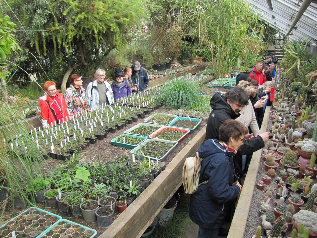 Wycieczki Ogród Botaniczny Bydgoszcz,