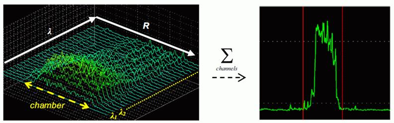 Lidar biologiczny