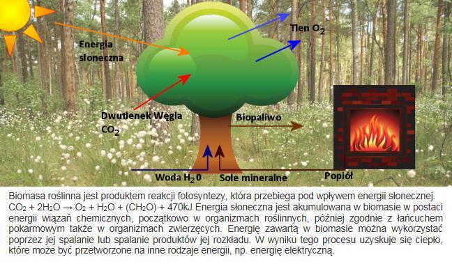 ENERGIA Z BIOMASY - ZEROWA EMISJA CO 2 Ekosfera Energia