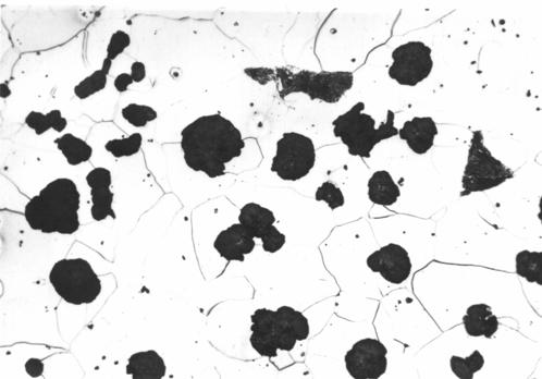 253 Rys.8. Mikrostruktura żeliwa modyfikowanego dodatkiem 0,5% FeSiCaBi oraz 0,25% FeSiMZR. Zgład trawiony nitalem, pow. 400x. Fig.8. Microstructure of cast iron modified with additions of 0,5% FeSiCaBi and 0,25% FeSiMZR.