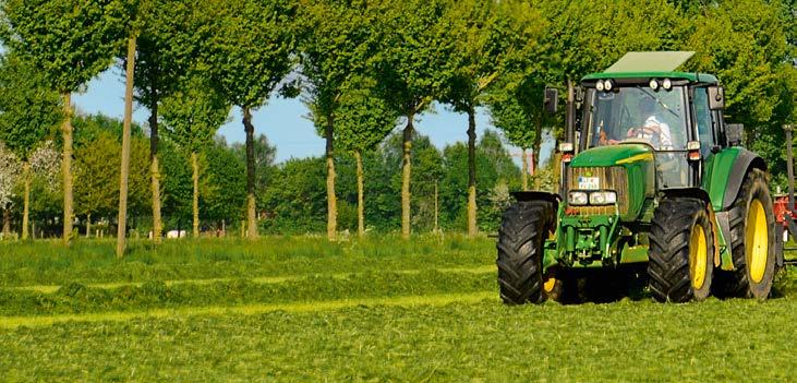 COUNTRY Użytek Polowy 2050 Roczna Wydajna mieszanka traw na uprawę jednoroczną na stanowiska średnie i dobre.