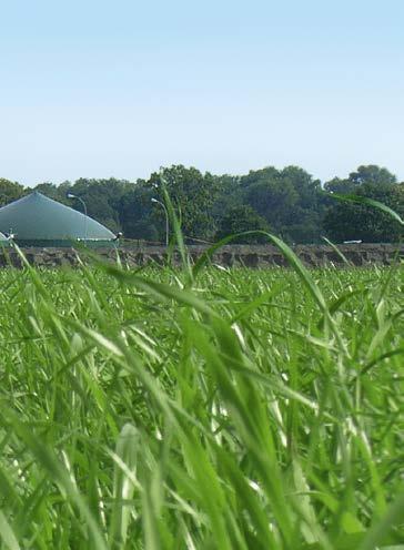 Trawy w biogazowniach Mieszanki traw dla producentów biogazu Długotrwała i wydajna produkcja energii jest wyzwaniem dla gospodarstw wytwarzających biogaz.