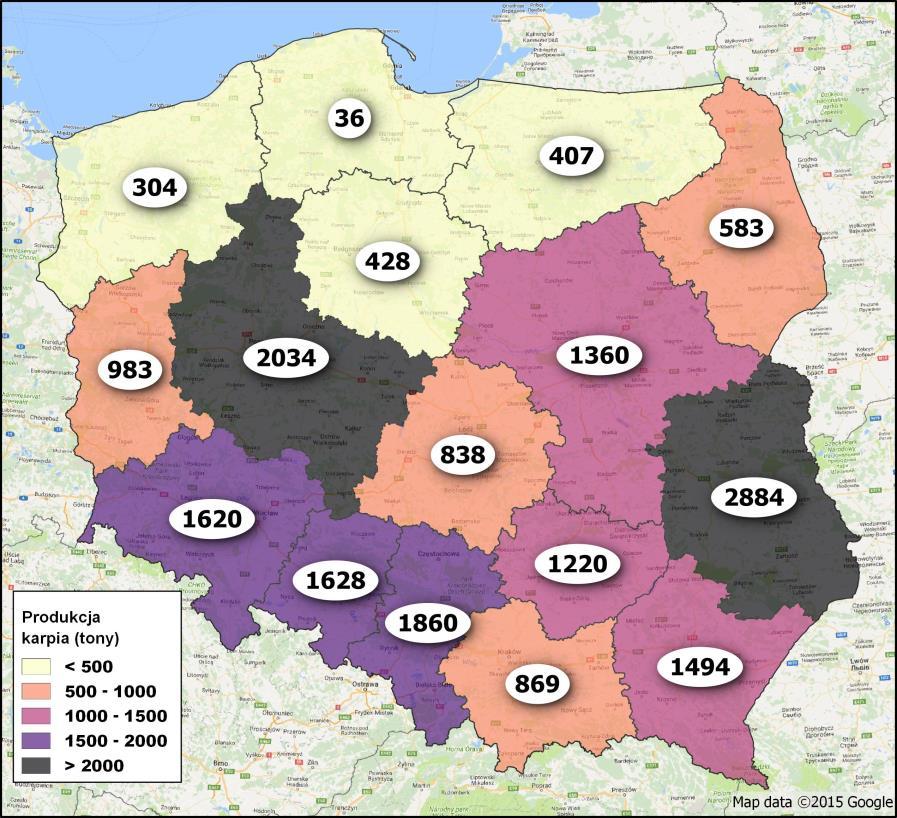 liderem w wielkości produkcji karpia i