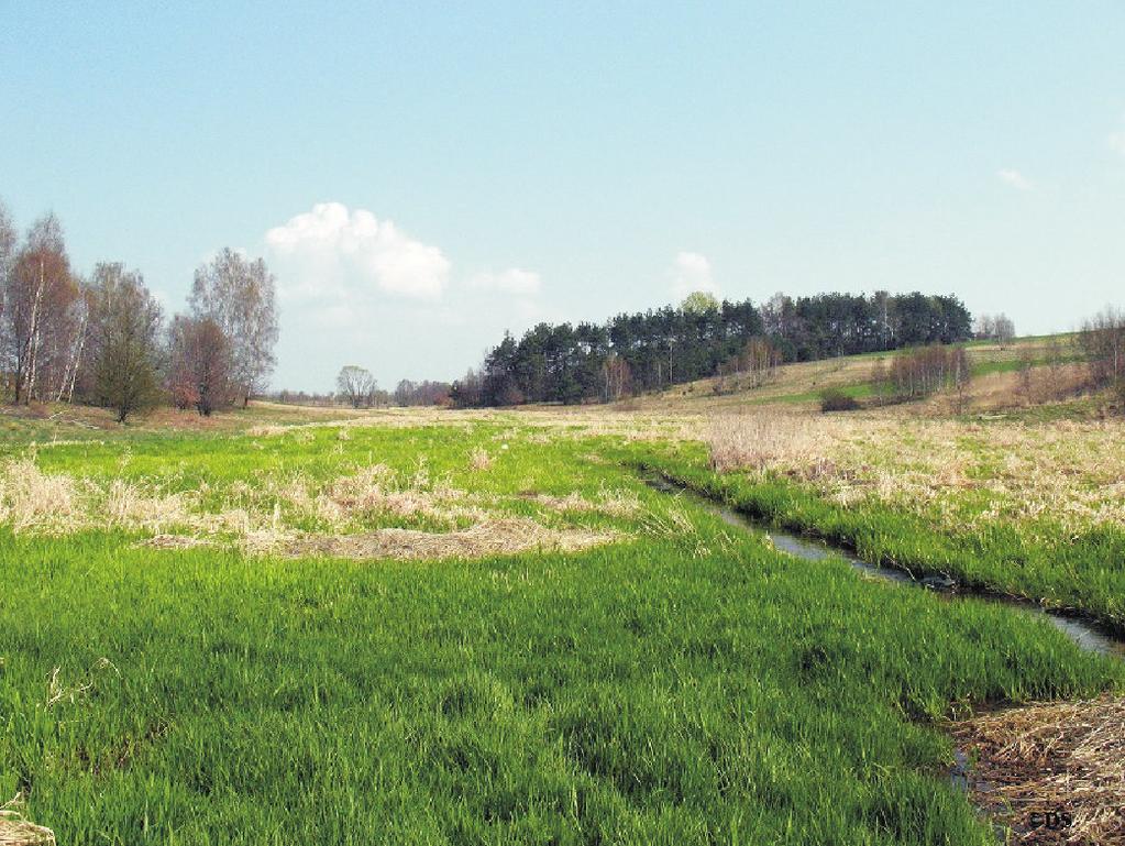 pojemność retencyjną.