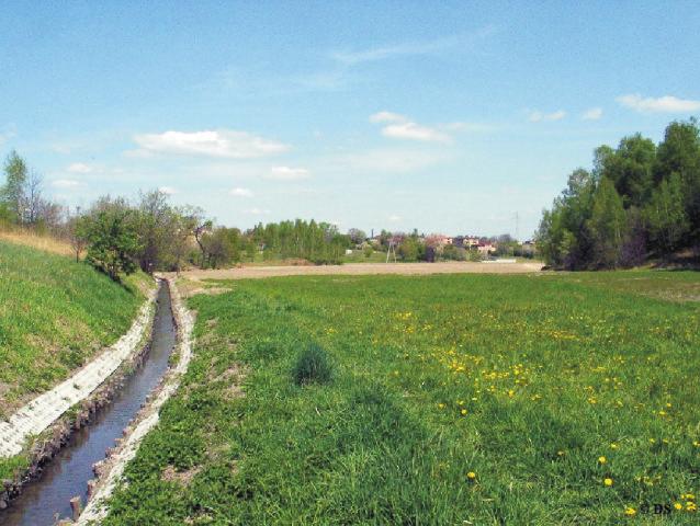 pogłębić przepływającą tu rzeczkę.