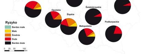 bardzo duże Ryzyko duże Ryzyko średnie Ryzyko małe