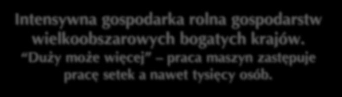 wsi wyraźny spadek liczby małych, tradycyjnych gospodarstw Intensywna gospodarka rolna gospodarstw