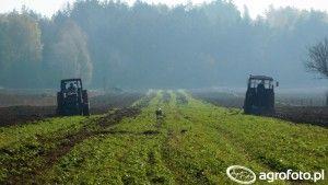 .pl https://www..pl Dla 42% rolników największym problemem jest brak pieniędzy na inwestycje. (fot. AgroFoto.pl, WitekRolnik).