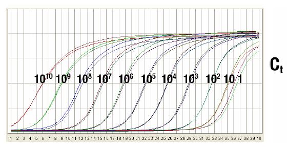 Reakcja qrt-pcr umożliwia zbadanie różnic w ilości mrna Różnych genów w tej samej tkance, komórce Tego samego genu w