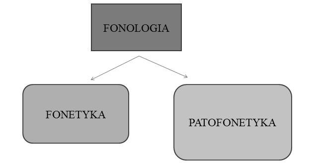 Patofonetyka w praktyce logopedycznej 81 Ryc. 1. Relacje pomiędzy fonologią, fonetyką i patofonetyką Źródło: opracowanie własne.