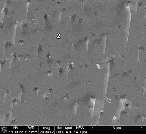 SEM image of surface of ASi7 sample with evident crystallization (a), and EDS analysis from a microregion 1 (b). krzemionki na wi b o owiowo-galow. Wprowadzenie BaF 2 w ilo ci 2% mol.