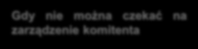 Obowiązki komisanta Sprzedaż rzeczy narażonej na zepsucie z zachowaniem należytej staranności (uprawnienie, a gdy interes